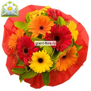 Карнавальная ночь Карнавальная ночь